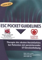 Deutsch Gesellschaft für Kardiologie - Therapie des akuten Herzinfarktes bei Patienten mit persistierender ST-Streckenhebung