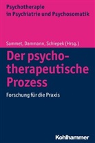 Gerhar Dammann, Gerhard Dammann, Bernhard Grimmer, Isa Sammet, Günter Schiepek, Günter Schiepek u a - Der psychotherapeutische Prozess