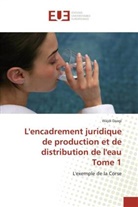Wajdi Daagi, Daagi Wajdi, Daagi-w - L encadrement juridique de