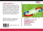 Mario Salvado Esparza G, Mario Salvador Esparza G, Mario Salvador Esparza G., Juan Carlo Olivares G, Juan Carlos Olivares G, Juan Carlos Olivares G.... - Evaluación de shunt magnéticos en transformadores eléctricos