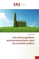 Vinciane Anila, Anila-V - Les preoccupations