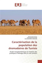Moh Ben Hamouda, Mohamed Ben Hamouda, Mohame Chniter, Mohamed Chniter, Mohame Hammadi, Mohamed Hammadi - Caracterisation de la population