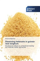 Sokona Dagnoko - Dissecting heterosis in guinea-race sorghum