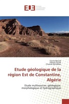 Chaouki Benabbas, Yacin Benzid, Yacine Benzid, Zakari Zouak, Zakaria Zouak - Etude geologique de la region est