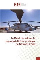 Cheikh Kalidou Ndaw, Ndaw-c - Le droit de veto et la