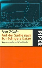 John Gribbin - Auf der Suche nach Schrödingers Katze
