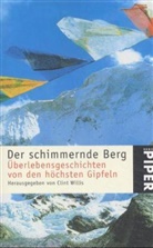 Der schimmernde Berg