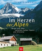 Sepp Schnürer - Im Herzen der Alpen