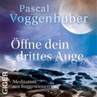 Pascal Voggenhuber - Öffne Dein Drittes Auge, Audio-CD (Hörbuch)