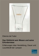 Etienne De Fodor, Etienne de Fodor - Das Glühlicht sein Wesen und seine Erfordernisse
