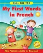 Sally Delaney, Delany Sally, Rebecca Elliot, Rebecca Elliott - Pull the Tab: My First Words in French