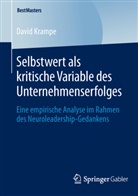 David Krampe - Selbstwert als kritische Variable des Unternehmenserfolges