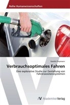 Karolin Freymann - Verbrauchsoptimales Fahren