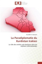 Nuraddin A Ramazan, Nuraddin A. Ramazan, Ramazan-n - La paradiplomatie du kurdistan