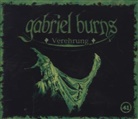 Gabriel Burns, Raimon Weber - Gabriel Burns - Verehrung, 4 Audio-CDs (Hörbuch)