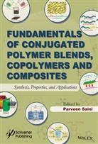 Parveen Saini, P Saini, P. Saini, Parveen Saini, Parvee Saini, Parveen Saini - Fundamentals of Conjugated Polymer Blends, Copolymers and Composites