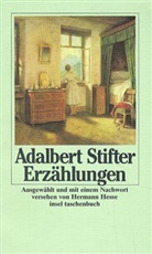 Adalbert Stifter - Erzählungen