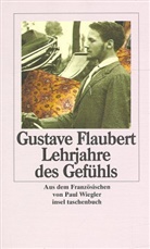 Gustave Flaubert - Lehrjahre des Gefühls