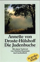 Annette von Droste-Hülshoff - Die Judenbuche, Großdruck