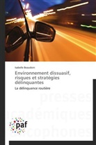 Isabelle Beaudoin, Beaudoin-i - Environnement dissuasif, risques