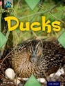 Alex Lane - Project X Origins: Pink Book Band, Oxford Level 1+: My Family: Ducks