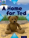 Danny Waddell - Project X Origins: Pink Book Band, Oxford Level 1+: My Home: A Home