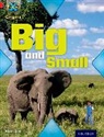 Alex Lane - Project X Origins: Red Book Band, Oxford Level 2: Big and Small: Big