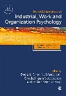 Neil (EDT)/ Ones Anderson, Neil Ones Anderson, Deniz S Ones, Deniz S Anderson Ones, Deniz S S Anderson Ones, Deniz S. Anderson Ones... - Sage Handbook of Industrial, Work & Organizational Psychology