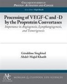 Abdel-Majid Khatib, Majid Khatib, Geraldine Siegfried - Processing of Vegf-C and -D by the Proprotein Convertases