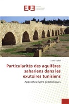 Samir Kamel, Kamel-s - Particularites des aquiferes