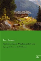 Peter Rosegger - Als ich noch der Waldbauernbub war