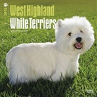 Browntrout Publishers (COR) - West Highland White Terriers 2015 Calendar (Audio book)