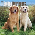 Browntrout Publishers (COR) - Golden Retrievers 2015 Calendar (Audiolibro)