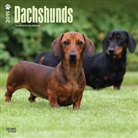 Browntrout Publishers (COR), Inc Browntrout Publishers - Dachshunds 2015 Calendar (Hörbuch)