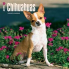 Browntrout Publishers (COR), Inc Browntrout Publishers - Chihuahuas 2015 Calendar (Audiolibro)