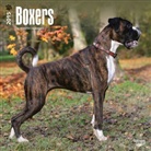 Browntrout Publishers (COR) - Boxers 2015 Calendar (Hörbuch)