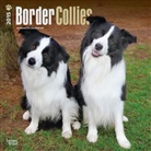 Browntrout Publishers (COR) - Border Collies 2015 Calendar (Hörbuch)