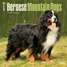 Browntrout Publishers (COR), Inc Browntrout Publishers - Bernese Mountain Dogs 2015 (Audiolibro)