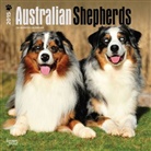 Inc Browntrout Publishers, Browntrout Publishers (COR), Inc Browntrout Publishers - Australian Shepherds 2015 Calendar (Audiolibro)