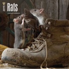 Browntrout Publishers (COR) - Rats 2015 Calendar (Audiolibro)