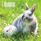 Browntrout Publishers (COR) - Rabbits 2015 Calendar (Audiolibro)