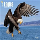 Browntrout Publishers (COR) - Eagles 2015 Calendar (Hörbuch)