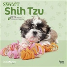 Browntrout Publishers (COR), Myrna Huijing, Inc Browntrout Publishers - Sweet Shih Tzu 2015 Calendar (Audiolibro)