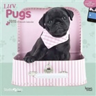 Browntrout Publishers (COR), Inc Browntrout Publishers - Luv Pugs 2015 Calendar (Hörbuch)