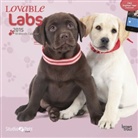 Browntrout Publishers (COR), Myrna Huijing - Lovable Labs 2015 Calendar (Audio book)