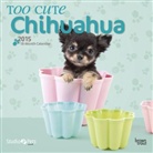 Browntrout Publishers (COR), Myrna Huijing, Inc Browntrout Publishers - Too Cute Chihuahua 2015 Calendar