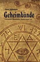 Franz Schweyer - Geheimbünde - Freimaurer, Illuminaten, Rosenkreuzer u.a.
