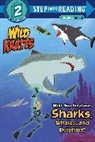Chris Kratt, Chris Kratt Kratt, Martin Kratt - Wild Sea Creatures: Sharks, Whales and Dolphins! (Wild Kratts)