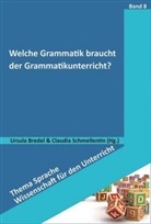 Brede, Ursul Bredel, Ursula Bredel, Schmellenthi, Claudia Schmellenthin, Schmellentin... - Welche Grammatik braucht der Grammatikunterricht?