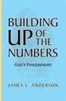 James L. Anderson - Building Up of the Numbers